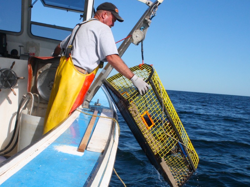 Video link to Lobster Fishing